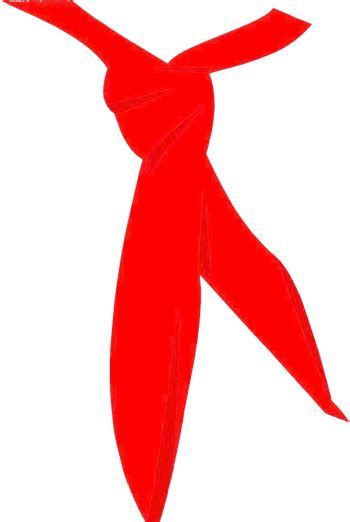 可怜的红领巾_关于红领巾的作文350字(共计4则)