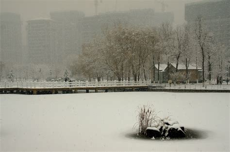 2002年的第一场雪文案