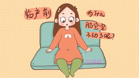 怀孕25周宝宝动得特别厉害