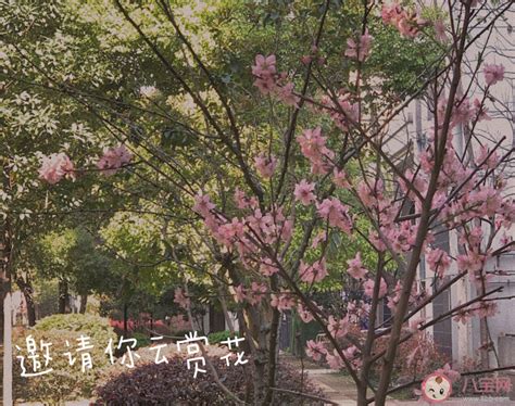 饭后运动朋友圈短语