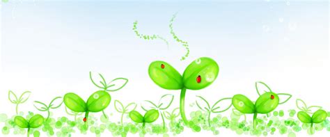 小苗成长记-状物作文250字(通用6篇)