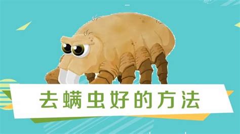 發露水能除螨嗎?