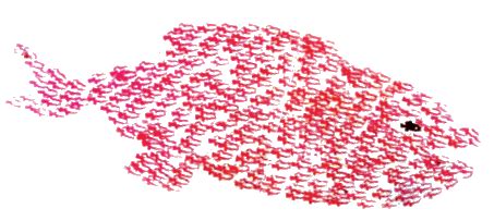 《小黑鱼》-读后感250字[摘抄4则]