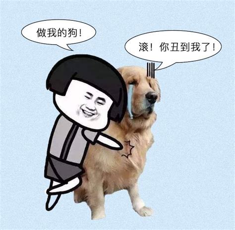 有关情人节单身狗的语录