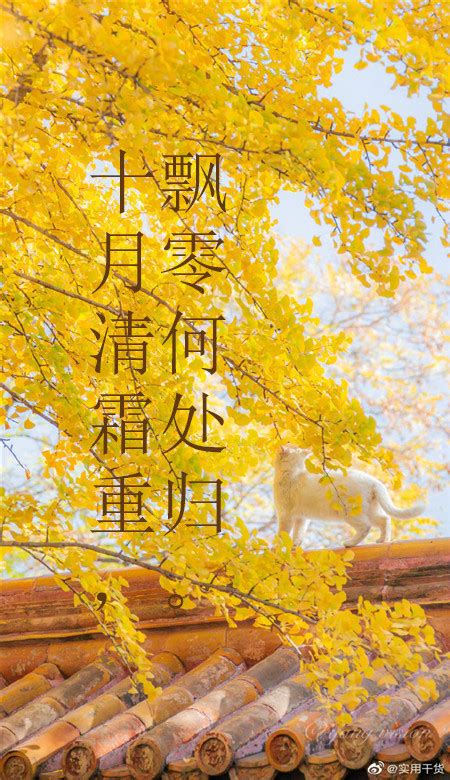 过年的句子唯美诗句【通用81段】