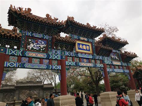 二进荣国府_写事作文900字【合计4篇】