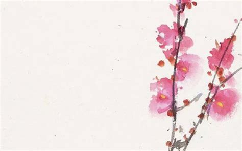 2022年4月24日出生的宝宝