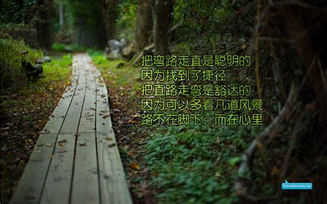直面风雨名言【共计120段】