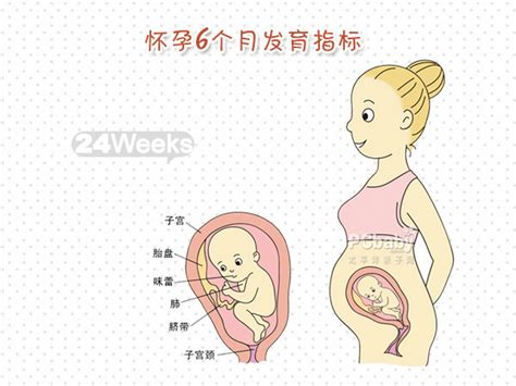 好孕妈妈月嫂培训