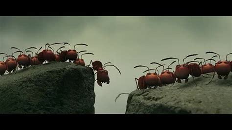 蚂蚁大战昆虫的视频