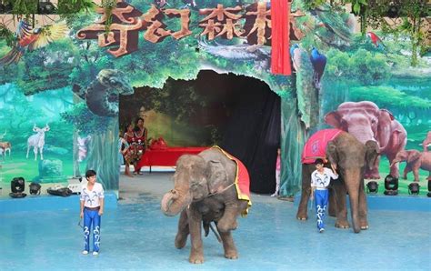 2015年香市动物园门票是多少