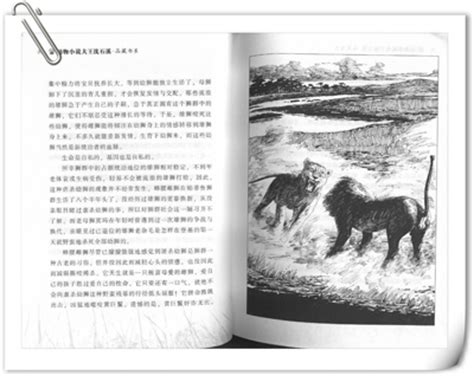 《狼王梦》读后感_二年级读后感300字(精选10则)
