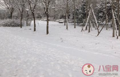 狗狗第一次看见雪的朋友圈说说
