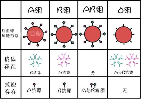 ab血型的历史伟人