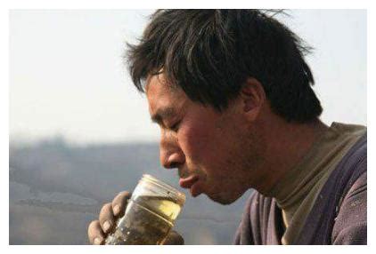 农民不容易经典语录