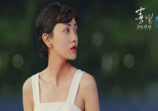放飞小高是什么梗