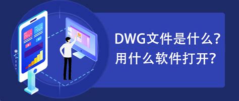 尼康的DX格式是什么意思???