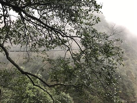 爬牛头山_三年级爬山作文250字(共计9篇)