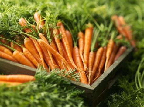 胡萝卜的健康吃法