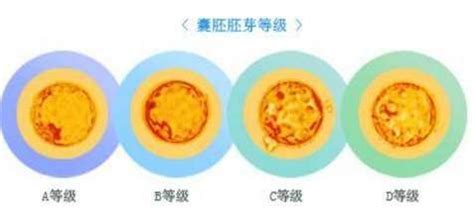 试管移植第六天着床但失眠怎么办