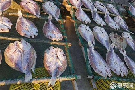 白鯧魚干多少錢1斤