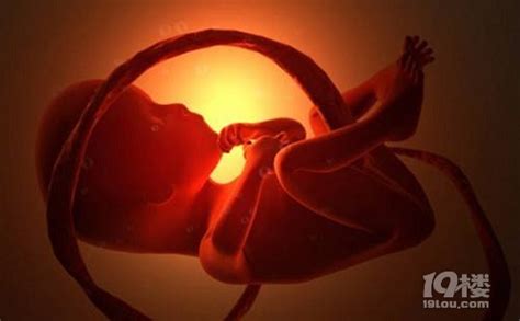 孕期胎儿偏小怎么办?