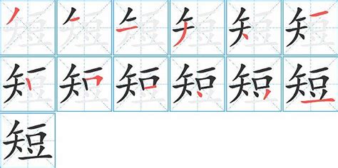 “带”字笔顺怎么写