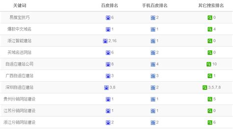 现在市场上都有哪些品牌的信息排名软件?跪求~~