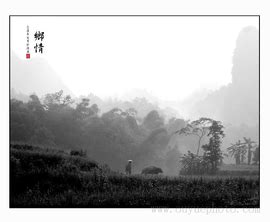 描写乡情的句子