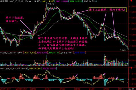 hcg两天涨了500正常吗