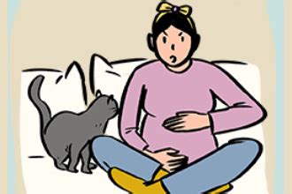 养猫和怀孕有冲突吗