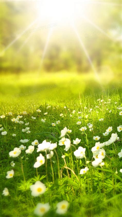 春天阳光心情文案