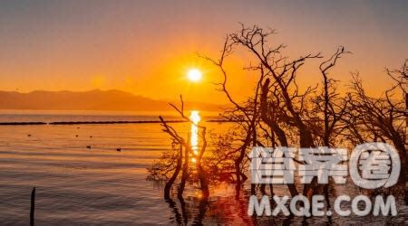 紫金山上看日出-自然作文400字(集锦8篇)