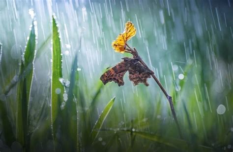 冬雨文案短句干净治愈（合集110段）