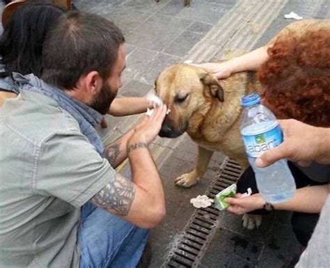 人间自有真情在-真情作文800字【共计4则】