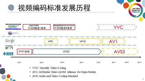 avs video editor支持什么格式