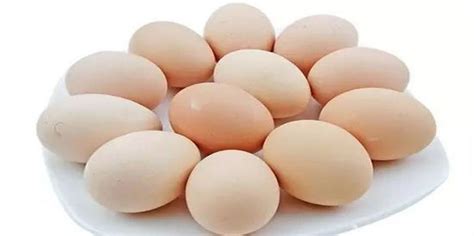 珍珠鸡蛋的营养价值