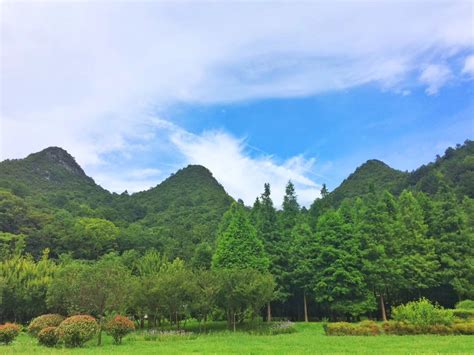 美丽的湿地公园_写景作文1000字【合集5篇】