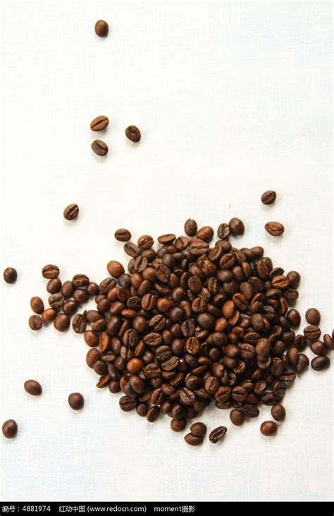 咖啡豆怎么挑选