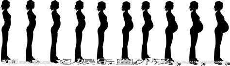 怀孕三个月胎儿在什么位置示意图