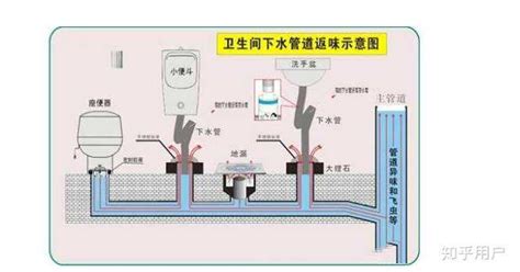 厕所下水道反味怎么办？