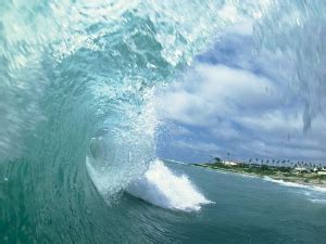 海啸视频真实记录