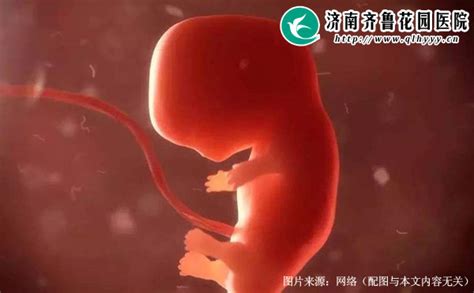 孕晚期胎心正常会缺氧吗