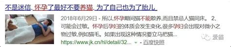 央视辟谣怀孕不能养猫的新闻