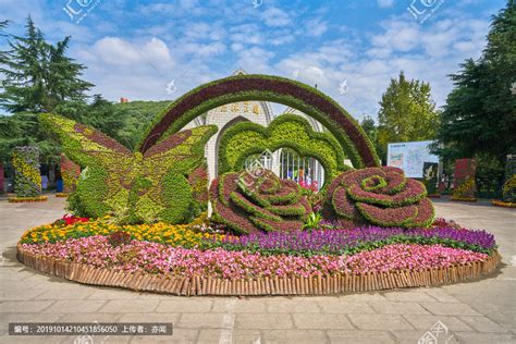 露地花卉和立体造型花卉的区别