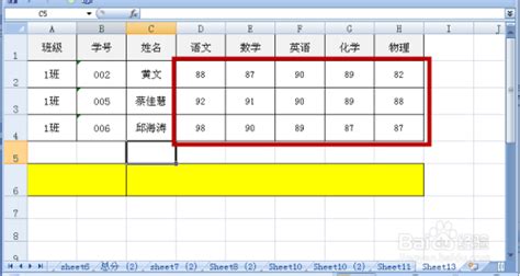 H.263/H.264/MPEG4 格式 什么意思