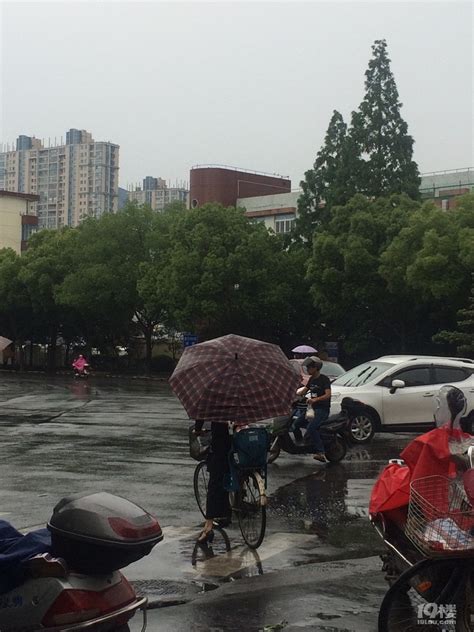 谷雨都要下雨吗