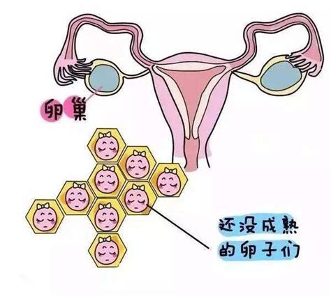 中国单身女性可以冻卵吗