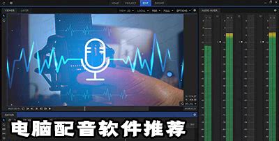 找个做DJ或者电音的软件或者插件 中文版的 电脑用的