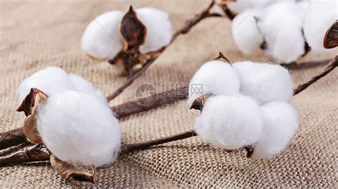 棉花多少钱一斤